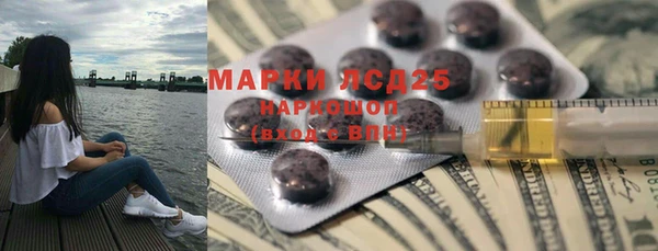 прущие грибы Надым