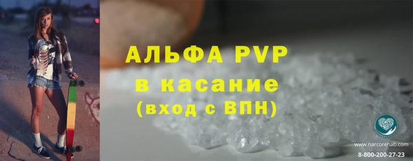 прущие грибы Надым