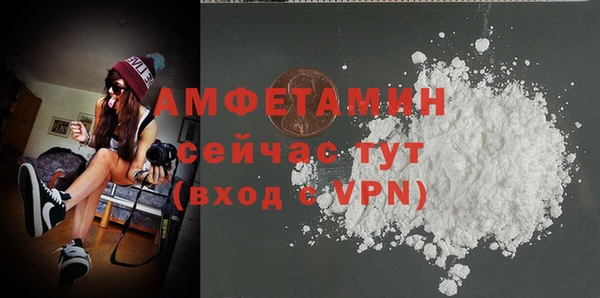 прущие грибы Надым